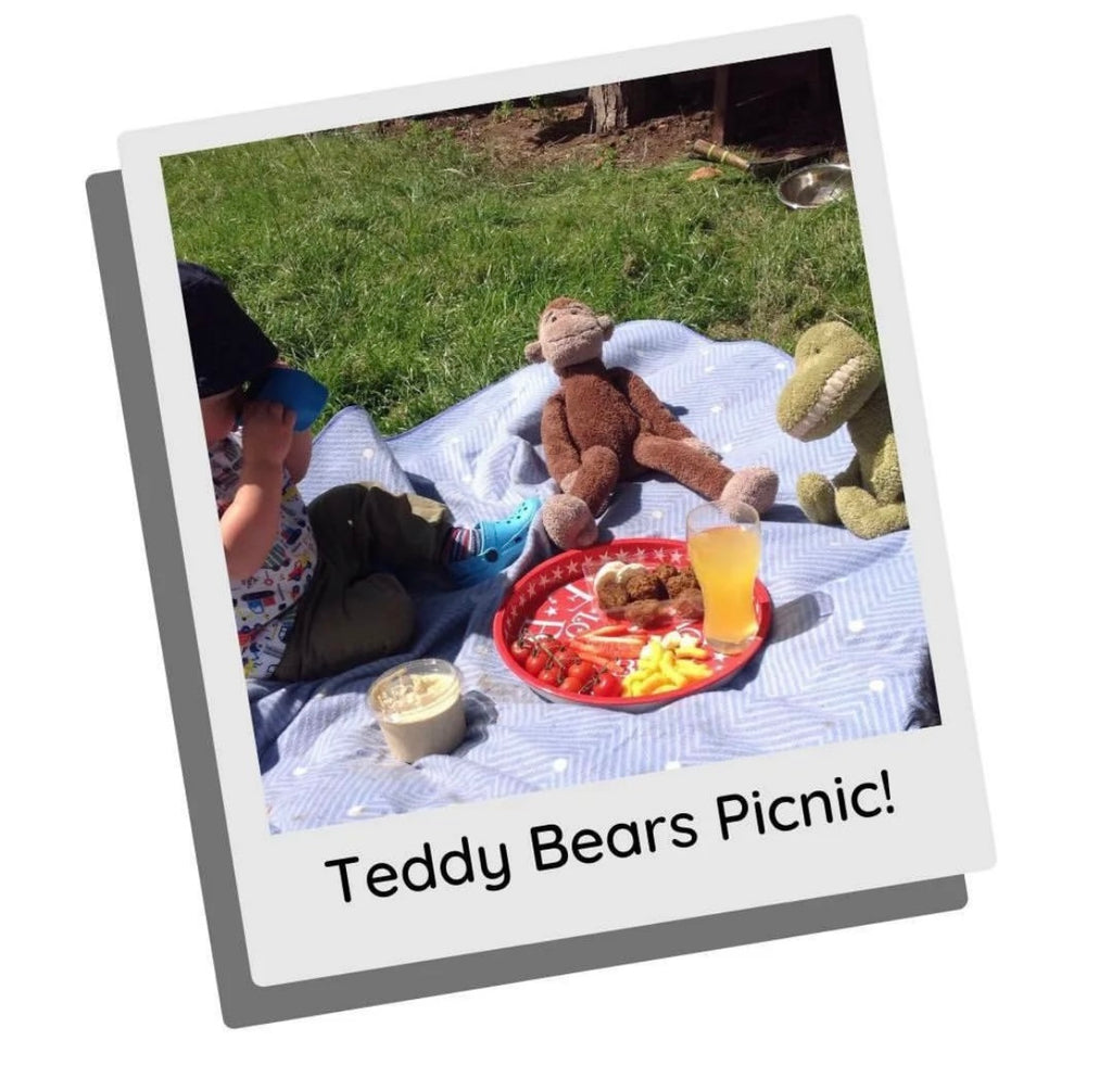 Teddy Bears Picnic Activities Play Planner